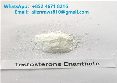 Testosterooni enanthaat toores steroidpulbrid